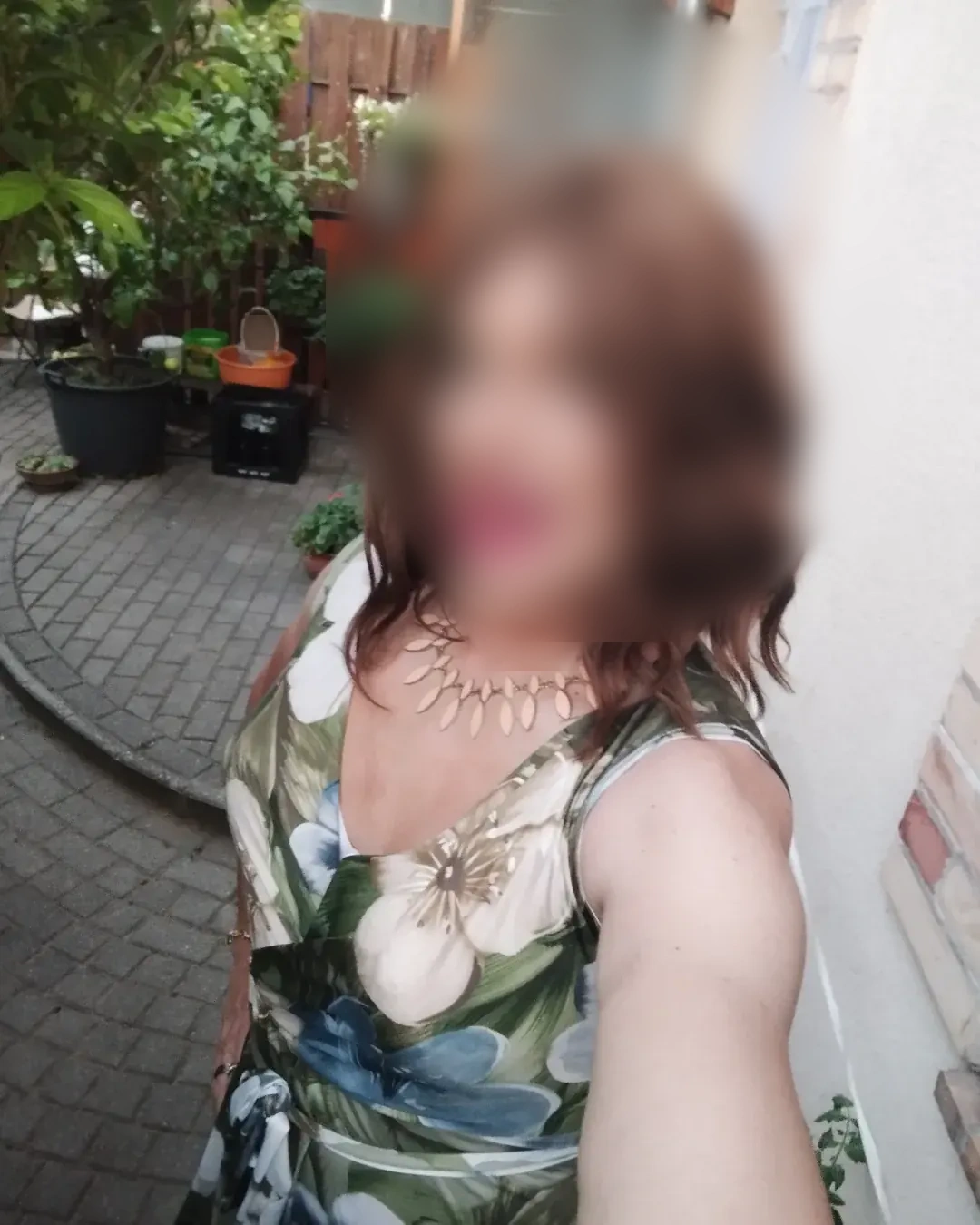 Disponible pour échanger à Beinheim